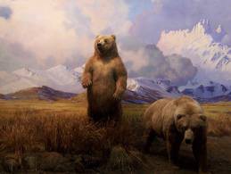 Stuffed bears, in the American Museum of Natural History